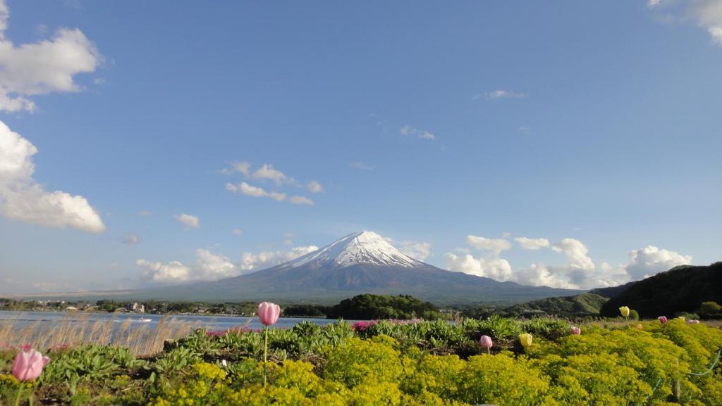 Relax Fujikawaguchiko